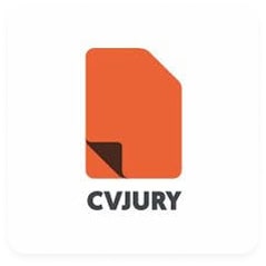 CVJURY summary generator