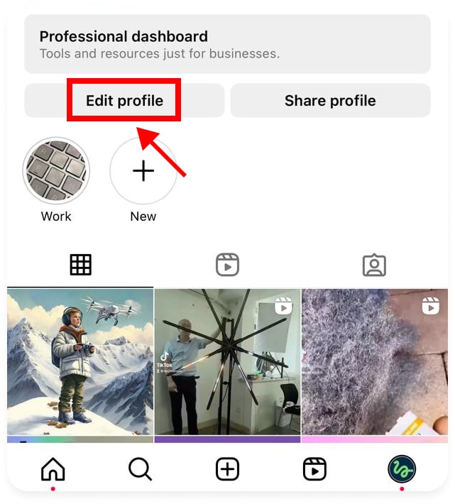 How To Link TikTok to Instagram? 