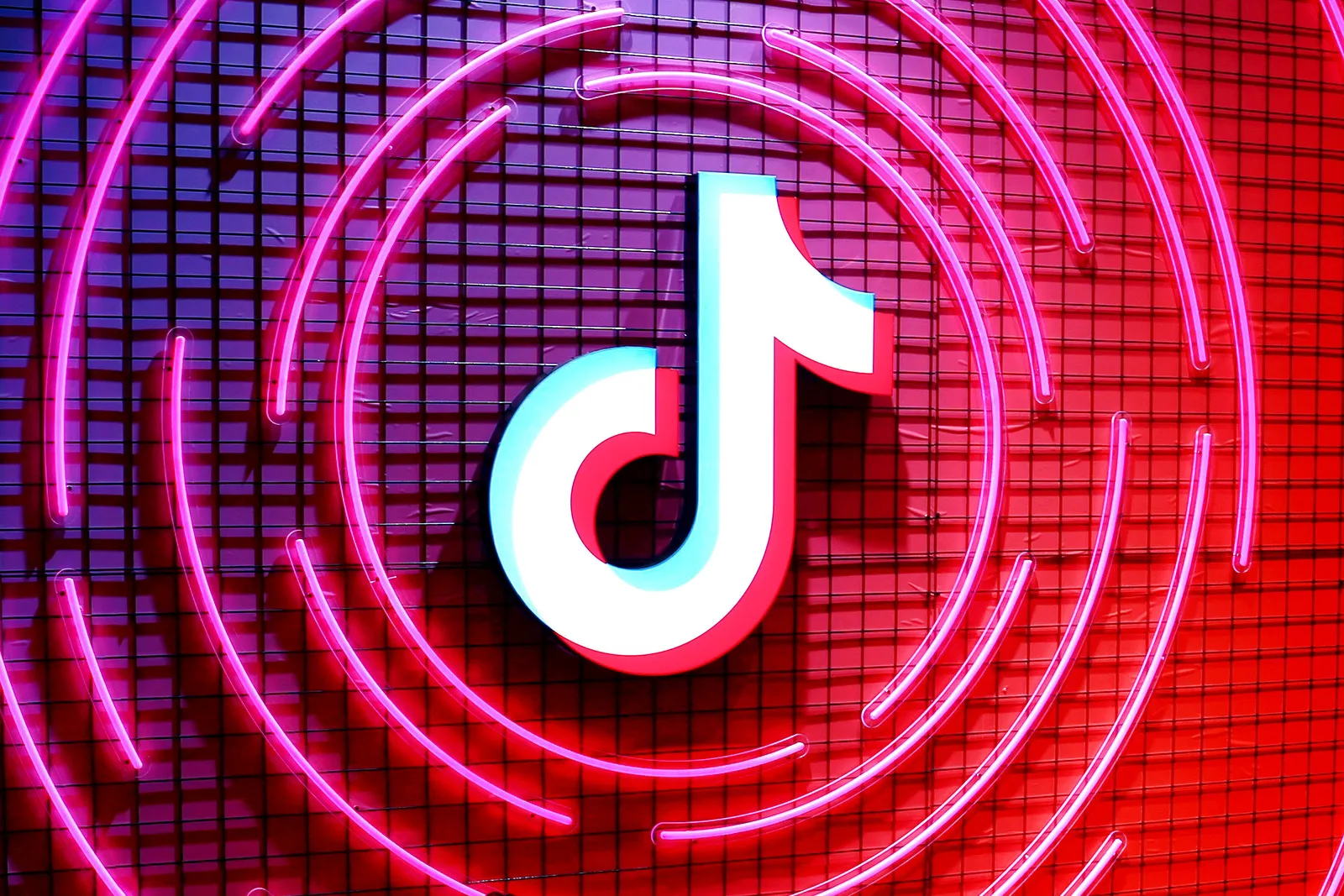 10 Best Most Liked Videos on TikTok 2024 ChatFAI Blog