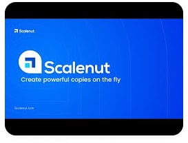 Scalenut summary generator