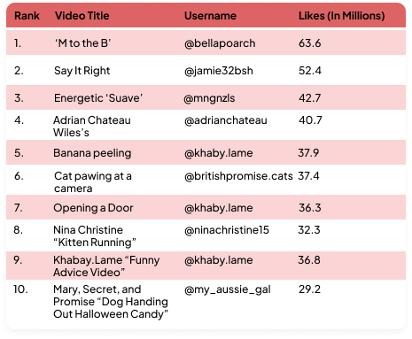 10 Best Most Liked Videos on TikTok 2024