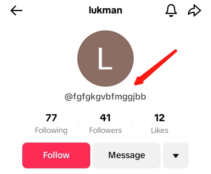 TikTok username