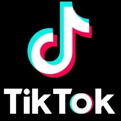 TikTok for brands