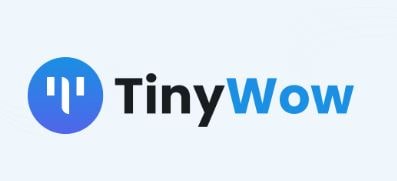Tinywow essay writing tool