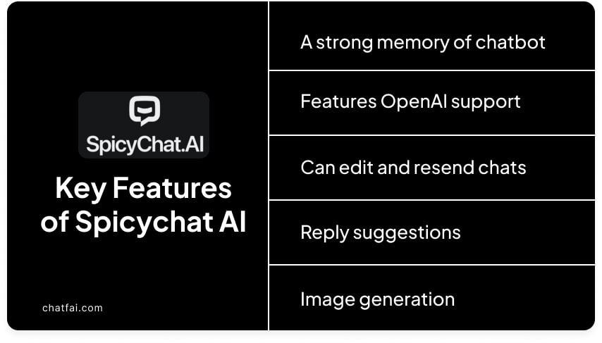 Features of Spicychat AI